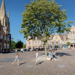 Het mooie marktplein van Nieuwpoort met centraal de zilveren lindeboom, de stadshal, beiaardtoren en de historische trapgevels